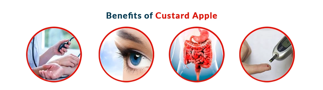 Benefits of Custard Apple